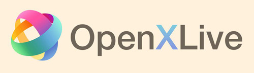 对话OpenXLive马宁 破译WP第一游戏平台的成长密码