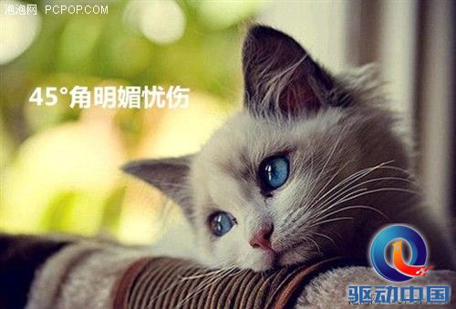 趣味数据告诉你 搞趣网2014年都干了啥 