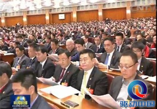 萧泓列席全国政协十二届三次会议第二次全体会议 