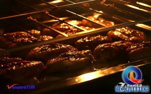 高端家用专业烘焙 万和中式电烤箱首测 