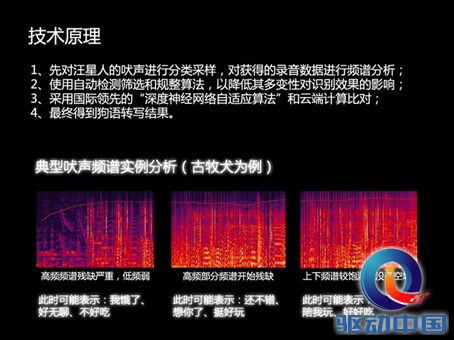 搞定汪星人语音识别 下一个是喵星人吗