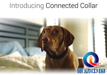 说明: 3.jpeg