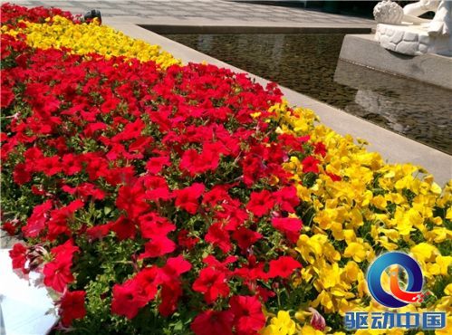 说明: 20150527134436288