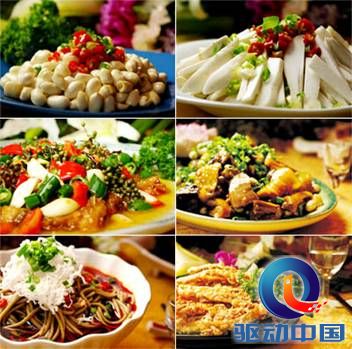 说明: 200910050954552500.jpg