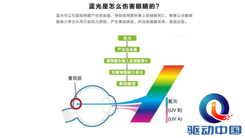 QQ截图20150610100527
