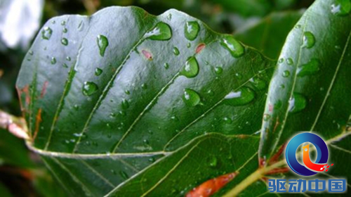 扒一扒AOC新平板 S89W深度解析