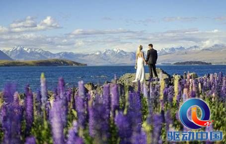 说明: QQ截图20150619150053.png