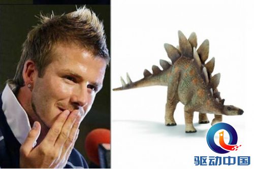 邓超竟然似恐龙?曝明星恐龙撞脸特辑