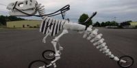 造型百变：恐龙自行车诞生！