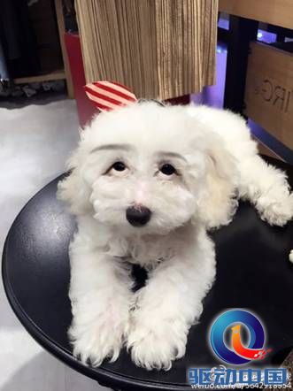 说明: http://upload.qudong.com/2015/0713/1436784484450.jpg