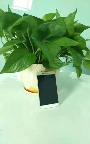 说明: C:\Users\Administrator\Desktop\mmexport1436856096054.jpg