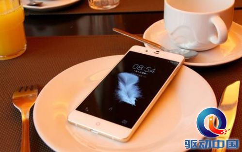 说明: f00fdbe40510159227940a33cb9db349.jpg