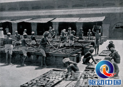 曝光:鸦片战争中被隐藏的五个真相_历史解密