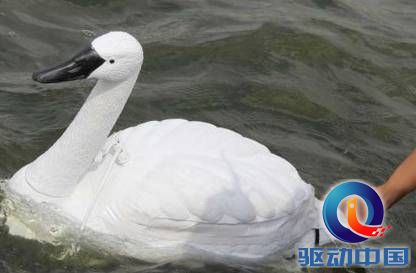 说明: QQ截图20150722161327.png