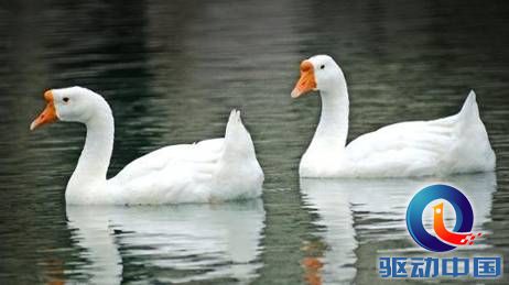 说明: QQ截图20150722161447.png