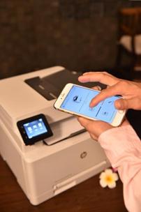 巴厘岛餐厅选用惠普M277 打造极致就餐