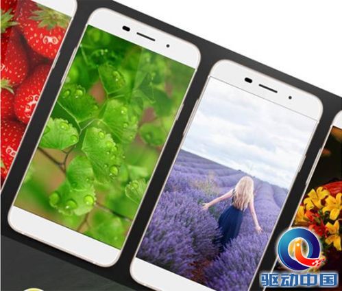 说明: 1438855614615.jpg