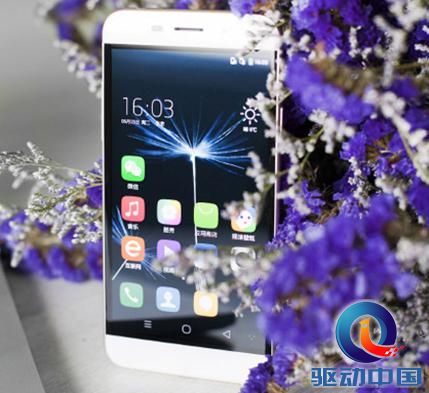 说明: 4736524565.jpg