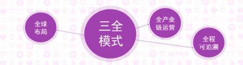 陈绍鹏:有人说我们有点笨