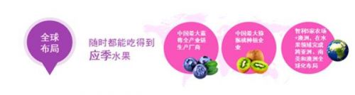 陈绍鹏:有人说我们有点笨