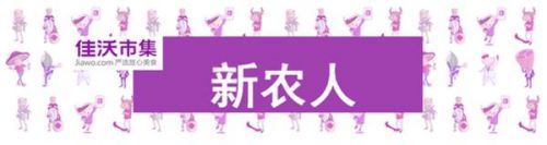 陈绍鹏:有人说我们有点笨
