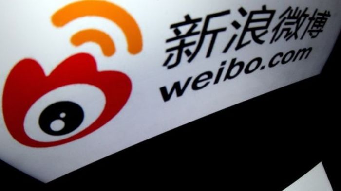 微博会员_新浪微博会员收入(2)