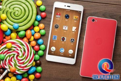 说明: 5336193375.jpg