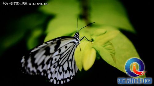 画质如何?乐视X55 Pro实测解析