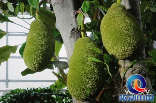 告别拖沓!第3代乐视超级电视X55pro电视评测