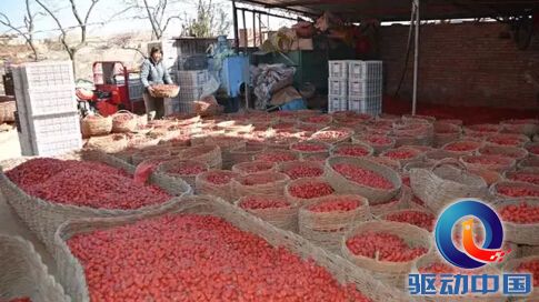 一场史无前例的用户“上头条”活动,解决了陕北佳县农民80万斤滞销红枣的燃眉之急。滞销大枣不再难卖,农民不再愁生计,也让“不做坏事”,为网友提供安全、干净的360好搜,暖了大批网友的心。在市场份额达到35%,每日搜索请求达到7亿次之多后,好搜始终为网友创造着最佳的搜索体验,传递着社会正能量。