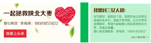据了解,从11月3日14时起,佳县大枣爱心销售点的李先生的手机铃声几乎没停过。“接了好几百个电话,都是要购买大枣的电话,除了有爱心人士,也有超市和商家,心情非常激动”。最终,佳县滞销大枣卖出了数万斤,目前订单量还在增加。