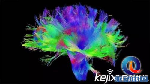 中国“脑科学计划”即将开始 啥是"脑科学"？