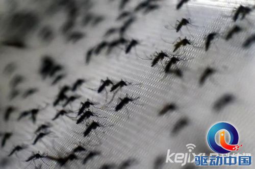 未來個人隱私已死？微小機器人可竊取DNA