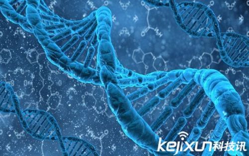 人体存在145个外来基因 源自远古微生物