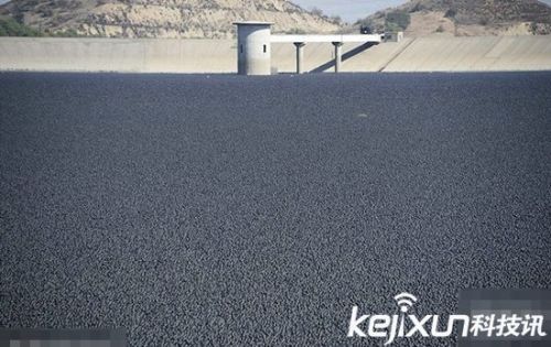 美国加州9600万塑料黑球 意图防水蒸发
