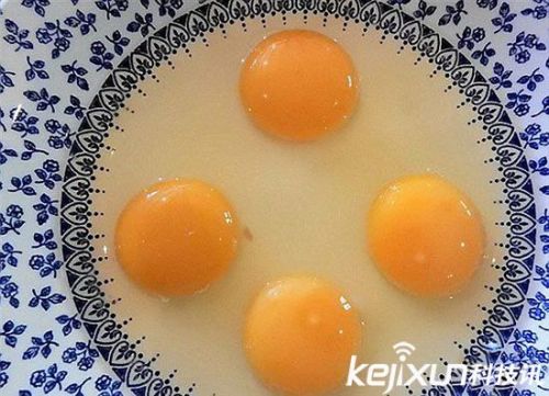英国一主妇发现 罕见巨蛋内含4个蛋黄