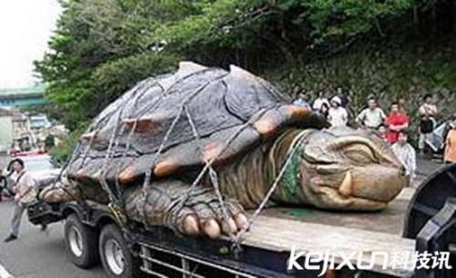 1965年巨型乌龟传说 比卡车还要大！