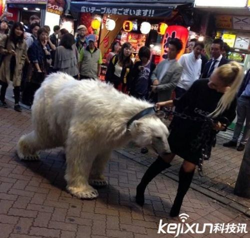 震撼的一幕 俄罗斯女子当街溜北极熊