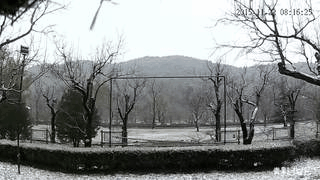 说明: 北京下雪.gif