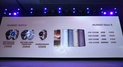 说明: F:\ZHAO6184.JPG