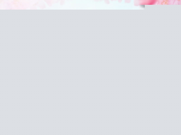 《神武2》手游“熊猫攻势” 让手机游戏推广更好玩2