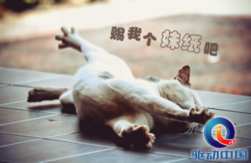 1_副本
