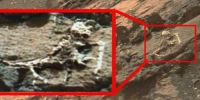 火星岩石壁上发现神秘不明物体，疑似外星人的骸骨！