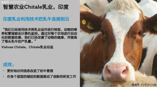 Andy Rhodes分享戴尔物联网IoT解决方案