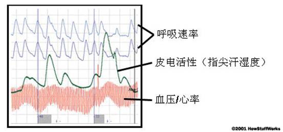 说明: 未命名:Users:mac:Desktop:d000baa1cd11728b897d414bc8fcc3cec3fd2c03.jpg