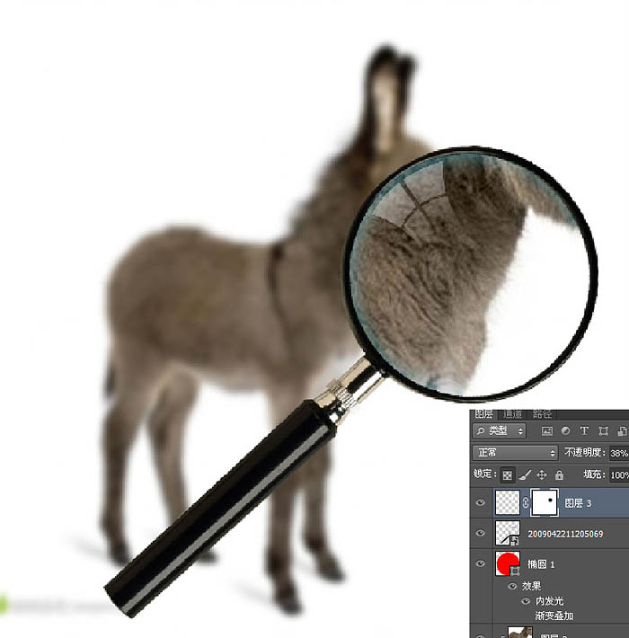 用PS制作放大镜扫视小毛驴动画图片