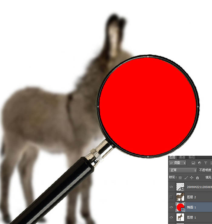 用PS制作放大镜扫视小毛驴动画图片