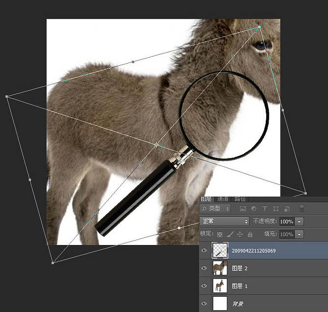 用PS制作放大镜扫视小毛驴动画图片