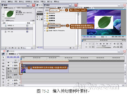 Premiere Pro 1.5制作一片飘落的叶子 飞特网 premiere实例教程 