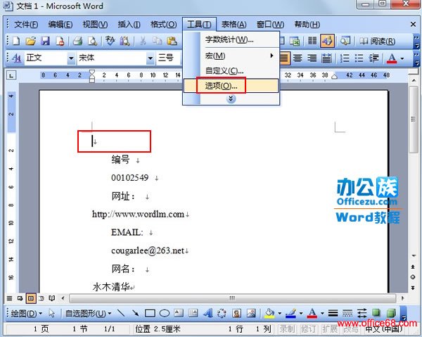 Word2003中设置自己可以预览而打印不出来的文字